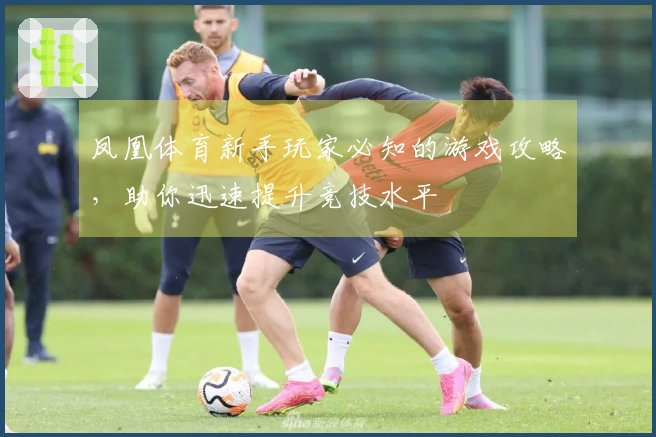 凤凰体育新手玩家必知的游戏攻略，助你迅速提升竞技水平