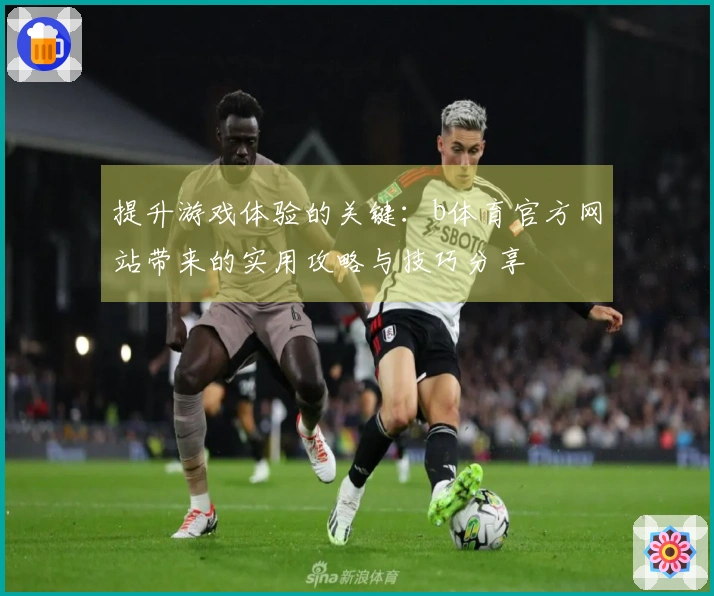 提升游戏体验的关键：b体育官方网站带来的实用攻略与技巧分享