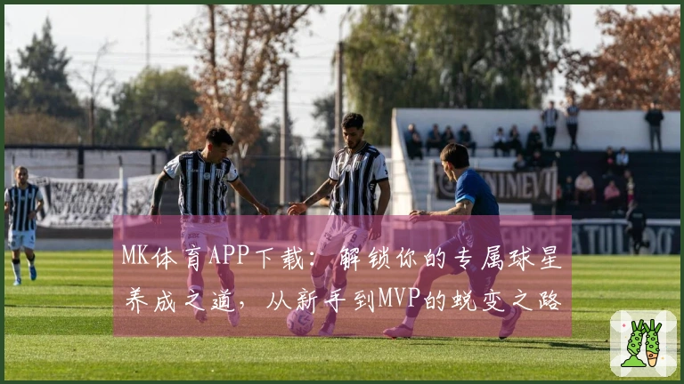 MK体育APP下载：解锁你的专属球星养成之道，从新手到MVP的蜕变之路